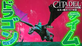 ドラゴンテイム。【CITADEL/シタデル：永炎の魔法と古の城塞/PS4/実況プレイ】