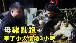 這隻雞不聽話亂跑，小伙直接把它宰了，小火慢燉3小時，真香【石頭秀】