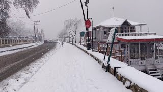 I am in Kashmir | LIVE - snowfall at dal lake Srinagar | Tal Entertainer