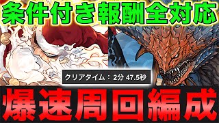 【条件付き全対応】闘技場のメリークリスマスをネロミェールで高速周回！条件付きリーダー全共通！【パズドラ】