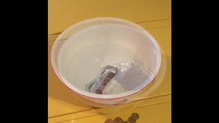 Purdue Extension Presents: Float Your Boat Challenge Part 2