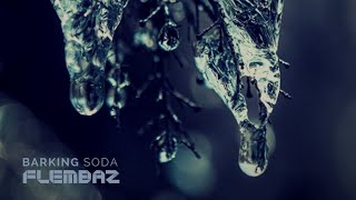 Barking Soda (Part 2) - Flembaz - Barking Soda | TranceVivid