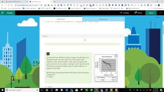 Adding Sections in a Form or Quiz in Microsoft Forms