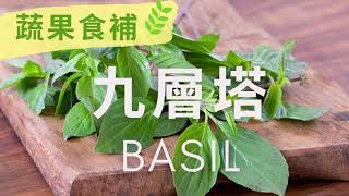 蔬果食補-九層塔 (Basil)｜觀音山蔬食館｜龍德上師