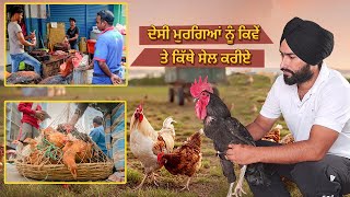 ਦੇਸੀ ਮੁਰਗਿਆਂ ਨੂੰ ਕਿਵੇਂ ਤੇ ਕਿੱਥੇ ਸੇਲ ਕਰੀਏ  | Toor Farm New Vlog