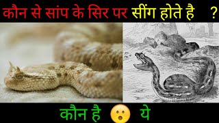 वह कौन सा 😲साप है जिसके सर ⚡️पर सींग होते है🤔//Two Amazing Facts About😜Snake//Sap Ka Sir Par Sing⚡️🔥