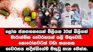 මිලියන 30ක් බිලිගත් රෝ.ගය යලි හිස ඔසවයි