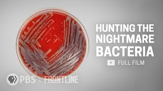When Antibiotics Don't Work (full documentary) | FRONTLINE