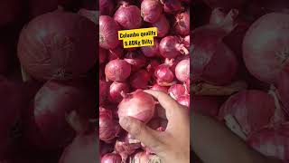 Onion rate Today | Onion price Today