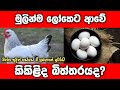 ලෝකෙට මුලින්ම ආවේ කිකිළිද බිත්තරයද? #egg #sinhala #story