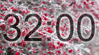 32 Minute Timer – Relaxing Ambient Music