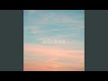 Colors