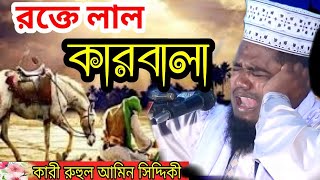 কষ্ট আর কষ্ট  কারবালার করুন কাহিনী, কারী রুহুল আমিন সিদ্দিকী