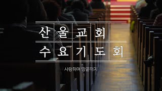 산울교회(산본) 2024년 8월 7일 수요기도회