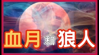 【狼人】血月和狼人的傳說，究竟狼人為什麼看到月亮會變狼呢？HenHenTV奇異世界 55，天貓精靈方糖，抖音3D月亮燈， 維肯移動電源，淘寶開箱