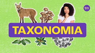 Taxonomia | Como classificar os seres vivos