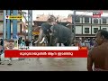 guruvayoor ക്ഷേത്ര നടയിൽ വീണ്ടും ദാമോദർ ദാസ് elephant ഇടഞ്ഞു kerala news today