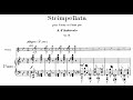 Alfredo D'Ambrosio - Strimpellata, Op.12