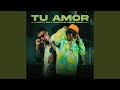 Tu Amor