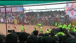 Bull kick Jallikattu Jallikattu TN-29 Dharmapuri Jallikattu💣💥🐂🔥🔥