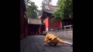 少林鹰拳