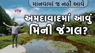 માનવામાં જ નહીં આવે, અમદાવાદમાં આવું મિની જંગલ? | Shu Plan