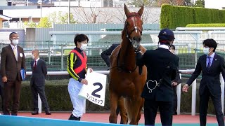 マンクスホップと松山騎手、２歳未勝利戦の口取り。現地映像、阪神競馬場。２０２１年１２月４日。