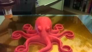 OctoPrint Timelapse Octopus