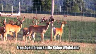 LARGEST WHITETAIL ON RECORD - FREE AGENT - DEER & WILDLIFE STORIES