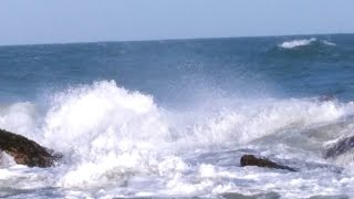 #sri  lanka#Yala beach #wonderful#  #Turtles#ceylon #යාල මුහුදේ කැස්බෑවන් ගෙ දුර්ලභ දර්ශනයන්,