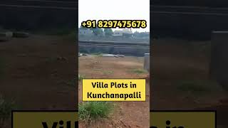 CRDA Approved Land in Kunchanapalli for Sale || Amaravati Ventures || Call +91 8297475678