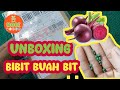 UNBOXING BIBIT BUAH BIT (BEETROOT)