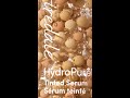 HydroPure Tinted Serum