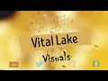 Vital Lake Visuals Present