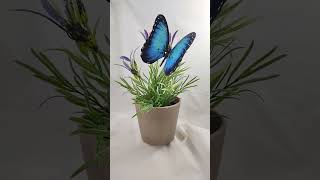 Robotic Insect: Moving Butterfly - Blue Morpho USB