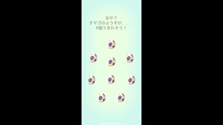 【ポケモンGO】9連！10kmタマゴ割った瞬間！3 #shorts