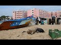 pattinapakkam fishing boats landing