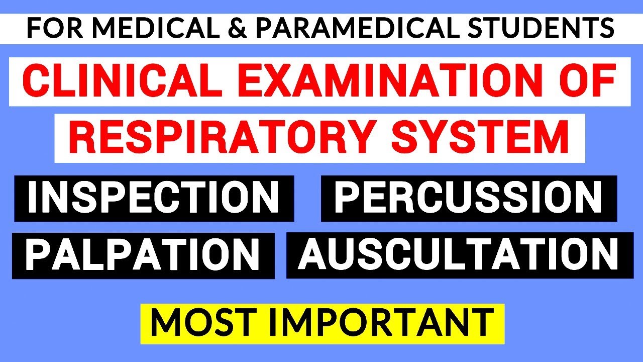 RESPIRATORY SYSTEM EXAMINATION | CLINICAL LAB | PHYSIOLOGY PRACTICALS ...