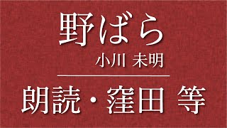 窪田等 朗読『野ばら』作：小川未明