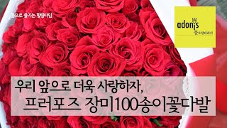 프러포즈를 위한 레드장미100송이꽃다발