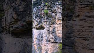 Brave Hikers on Cliffside Trails in China 🧗‍♂️🇨🇳 Adventure at Its Peak! #travel #mountains