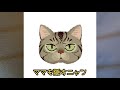 プレミア公開【野良猫】チュンパ君緊急保護