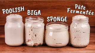 Yeasted Preferments Explained | Poolish, Biga, Sponge, Pâte Fermentée