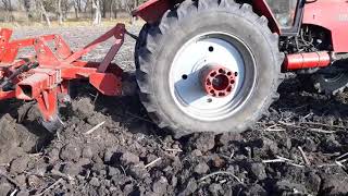 Belarus MTZ 1221.3 napraforgó tarló mélylazítózása 2018 11 11 11 12