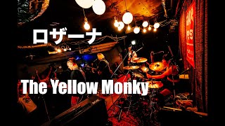 ロザーナ / THE YELLOW MONKEY /カバー / 2024.10.27下北沢近道