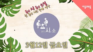 『봄의 시소』  첫 봄의 시소 중계 영상이 시작된다! I 3월 12일 (금) 첫 릴리즈 EP.1 210310