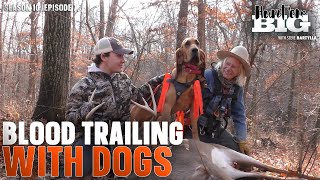 What to Know When Tracking Deer with Dogs