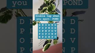 Observation Visual Test: 5 Seconds For You To Spot POND. Try Your Skills!  #search #puzzle #shorts