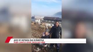 ДНЕС ОТ ФЕРМАТА ВЪВ ВЕЛИНГРАД