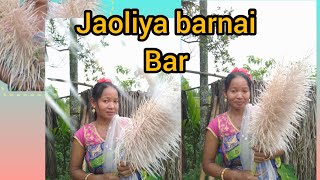 Jaoliya barnai bar...#Dance cover#Youtube video🙏🌸🥀